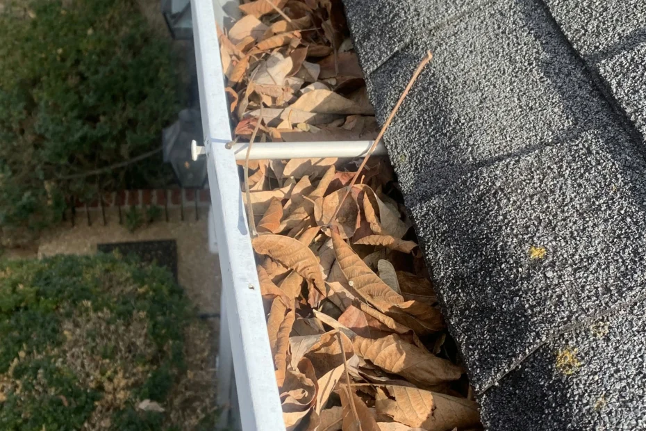 Gutter Cleaning Bartlett