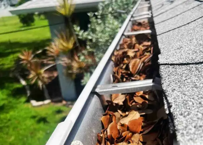 Gutter Cleaning Bartlett home page